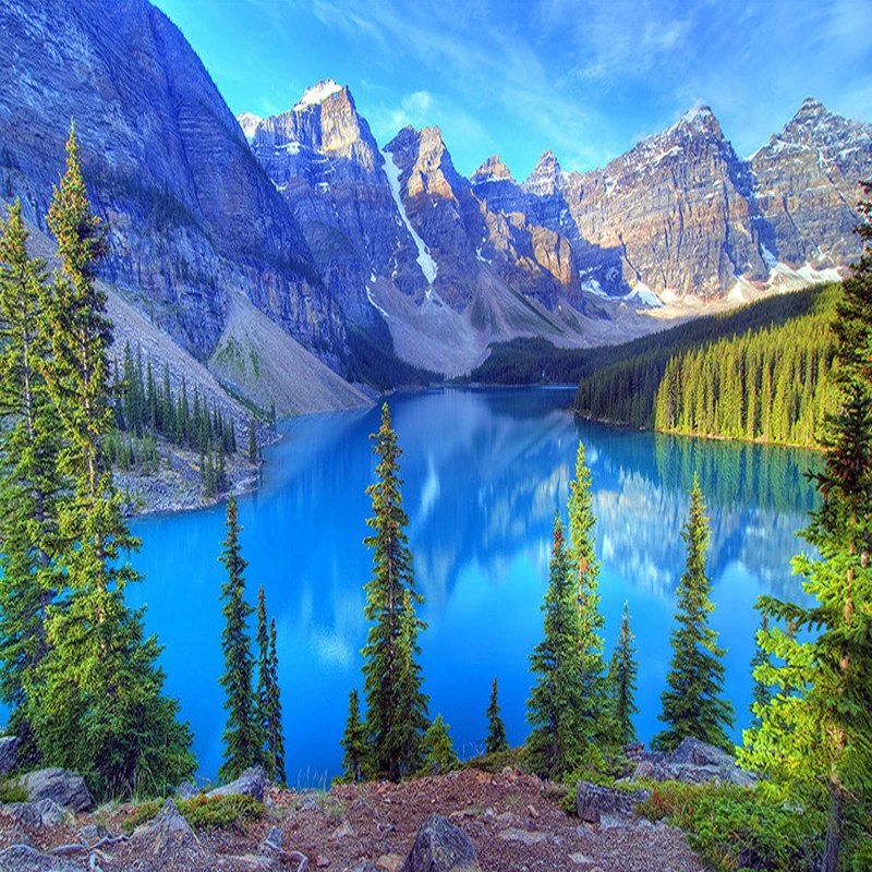 naturais neve montanha floresta lago mural de 02