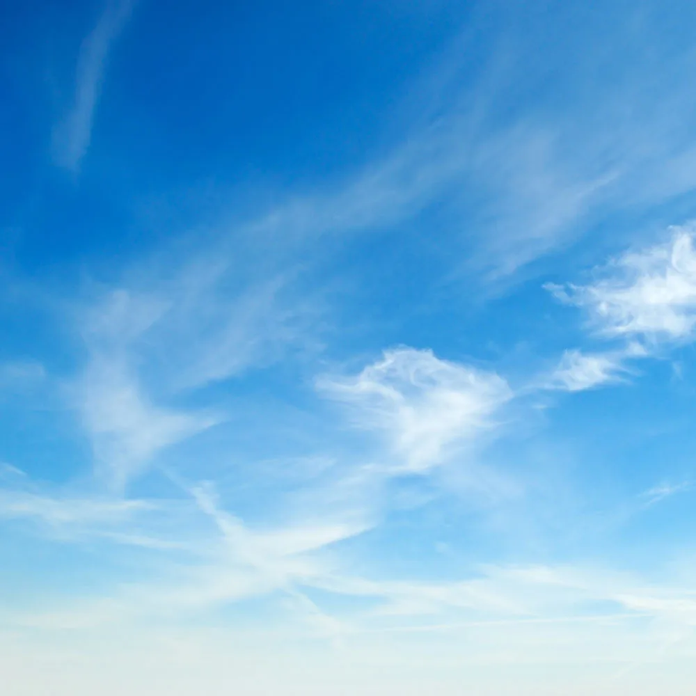 

10x10ft Vinyl Custom Sky Photography Backdrops Prop Photo Studio Background TTK-3004