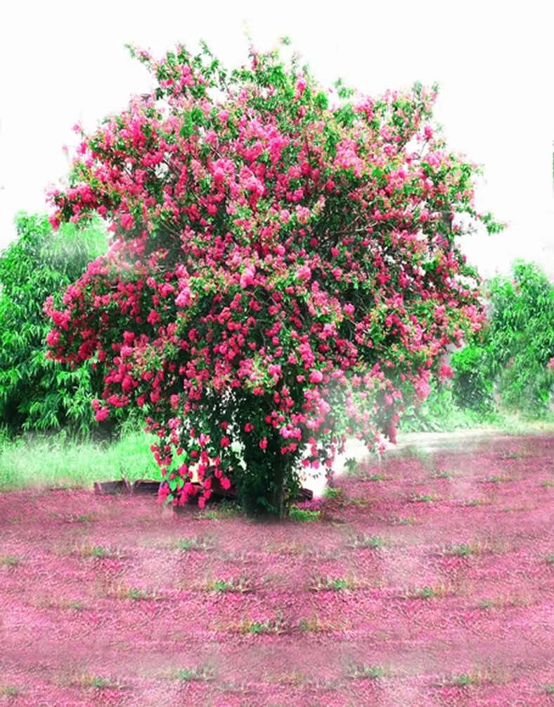 

5x7ft Pink Flowers Tree Photography Backdrops Photo Props Studio Background