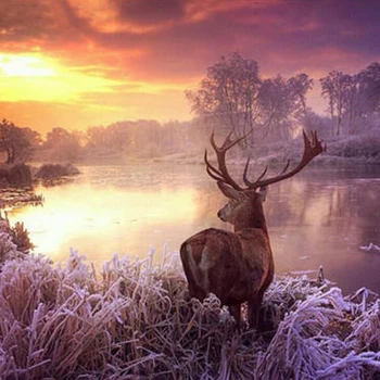 

Deer Scenic 5d diy Diamond Painting Full Rhinestone Diamond Embroidery Mosaic Cross Stitch Kit Wall Artwork Sweet Home Decor