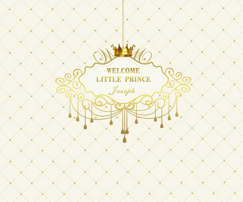 

Birthday party photography backdrops backgrounds for photo studio photography background W326
