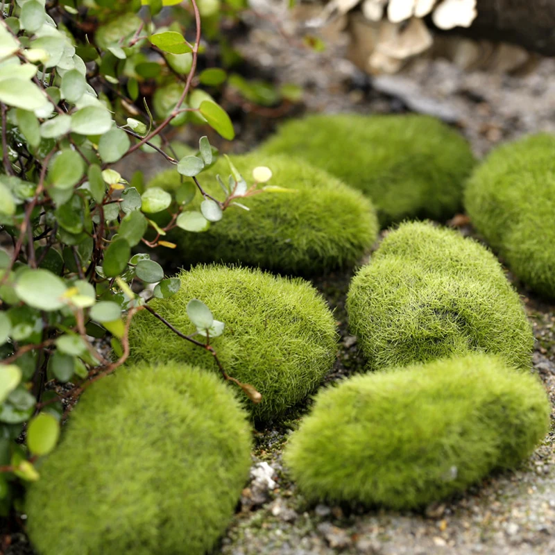 

Micro Landscape Green Grass Figures Miniature Decoration For Mini DIY Fairy Garden Aquarium Fish Tank Home Decor Accessories