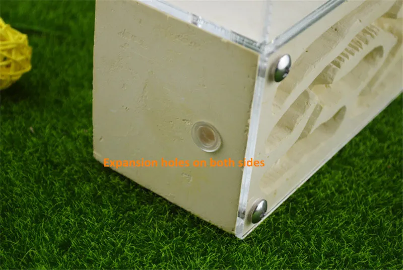 Earth Formicarium designed with ants in mind this sturdy gypsum and acrylic nest measures&nbsp;  (5)