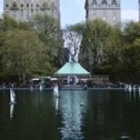 Toy boats floating on water  Central Park  Manhattan  New York City  New York State  USA Poster Print (36 x 13)
