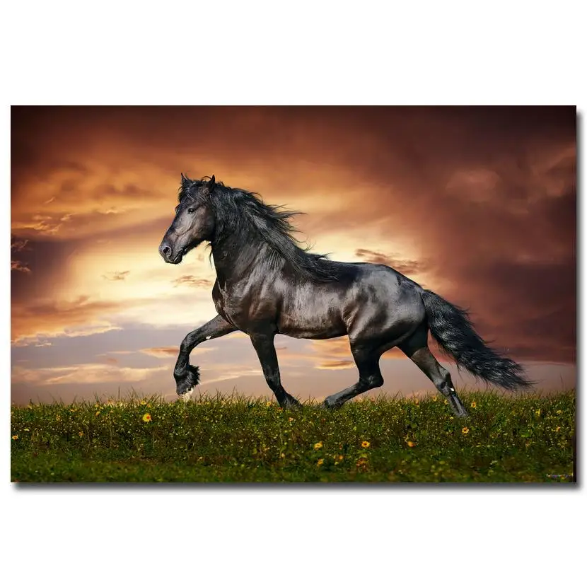 

NICOLESHENTING Sunset - Wild Horse Nature Art Silk Poster Print 12x18 24x36 inches Animals Picture Home Room Decor 015
