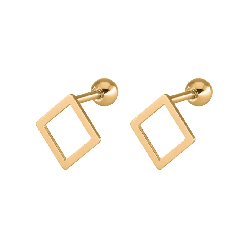 Stainless Steel Earrings