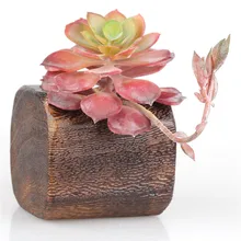 Wood Succulent Pots Planters with One Hole Decorative Windowsill Plant Container