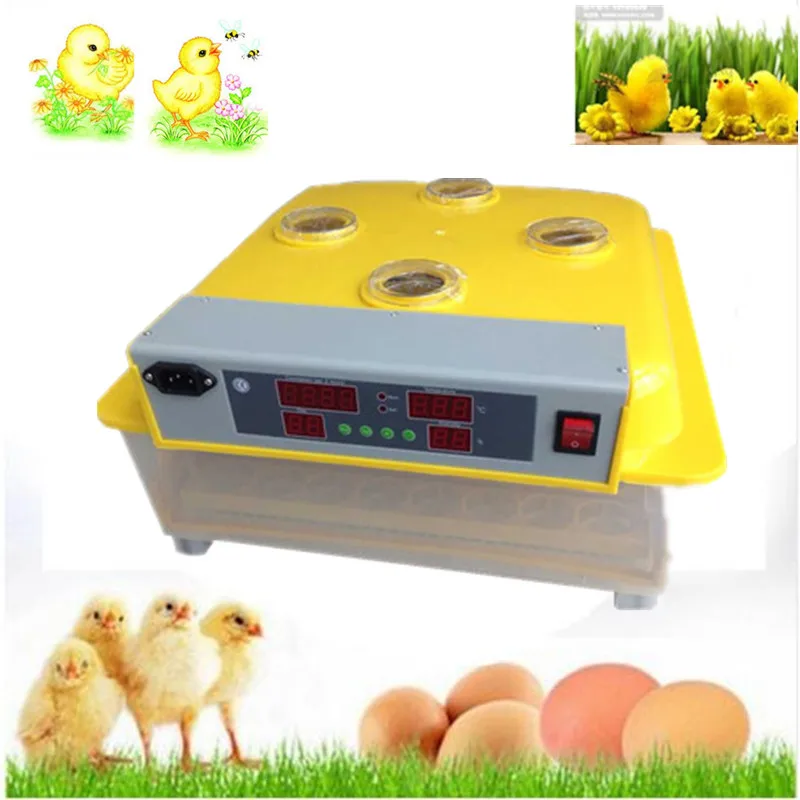 

48 eggs incubator home use automatic egg incubator for quail goose duck chicken brooder small auto hatcher