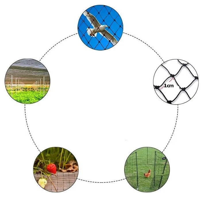 Зеленый анти-птица сетка садовый завод защищает PE сеть без вреда для птиц для растений фрукты овощи защита 5 размеров выбор