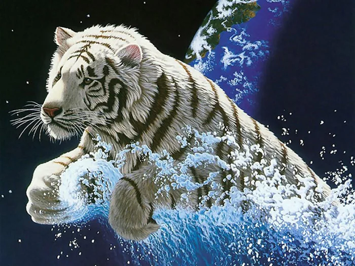 cool_3d_animal_background_wallpaper_hd_6-724x543