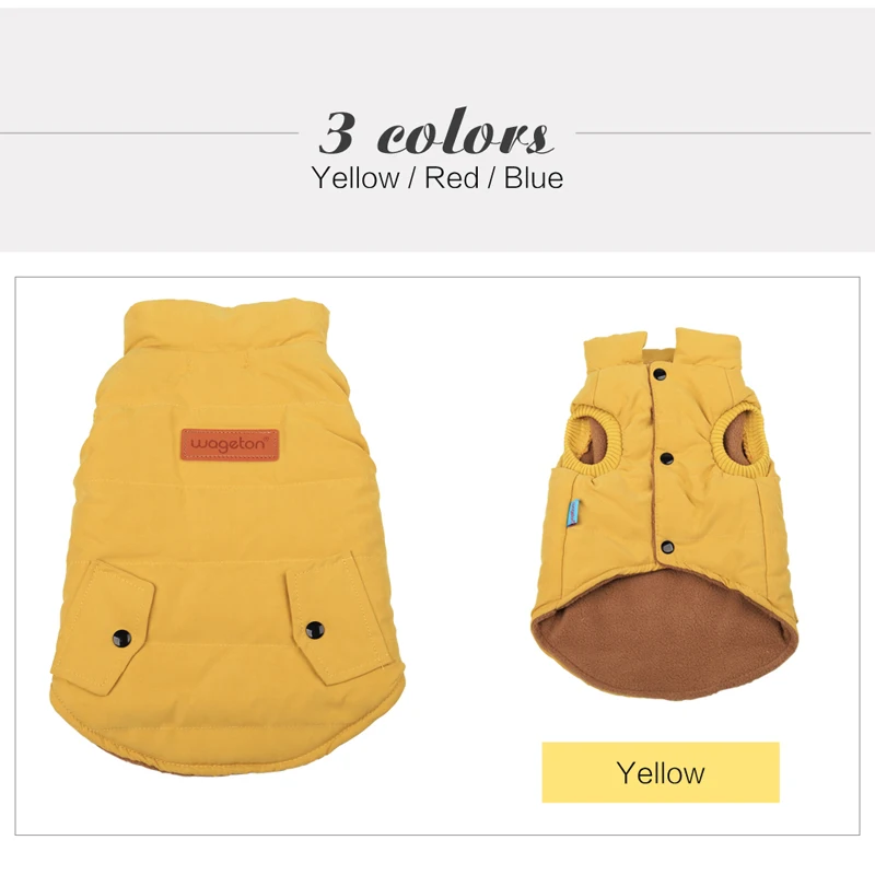 9 dogs clothes pets 