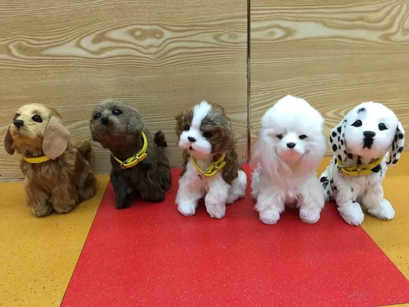 Latindo e Wag Animal de Estimação Brinquedos de Pelúcia Presente para o Bebê Simulação Robô Cauda Eletrônico Som Gato Ano Novo Cão 11 animal de estimação eletrônico brinquedos de pelúcia