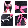 Pet Products