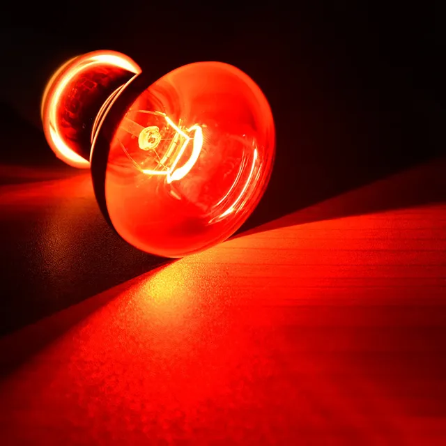 E27 Red Light  Amphibian Bird Snake Reptile Night Heating Lamp Heating And Insulation For Lizards Turtles And Snakes 2018 4