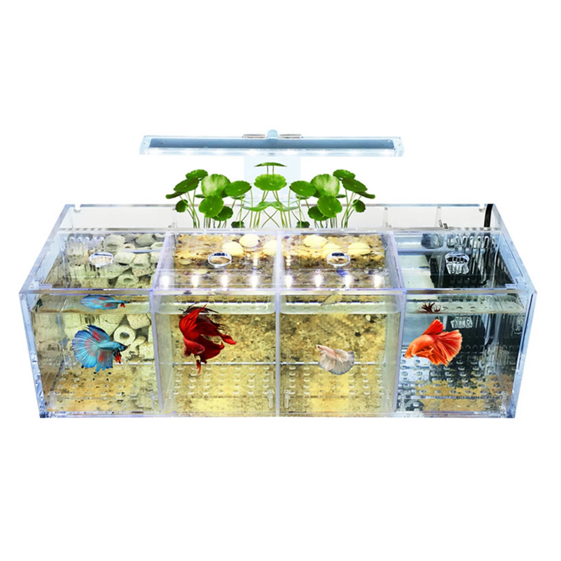 

New Hot Four Compartments Water Pump Filter Breeding Cylinder Acrylic Fish Tank with LED - International Standard Plug