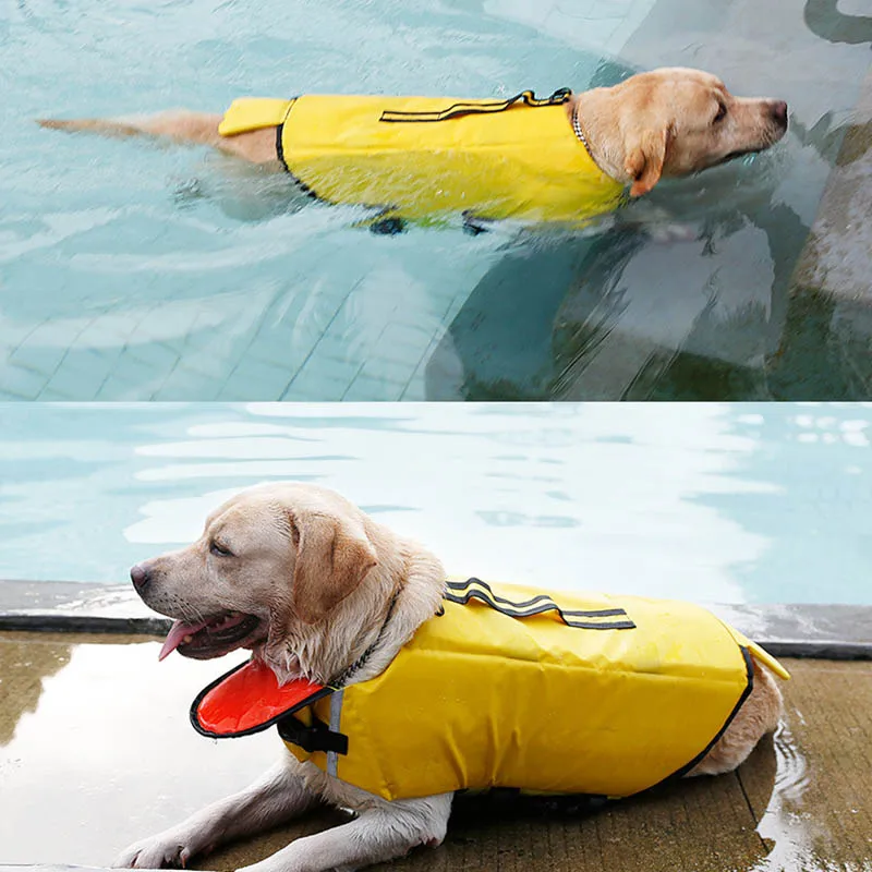 Dog life vest swimwear