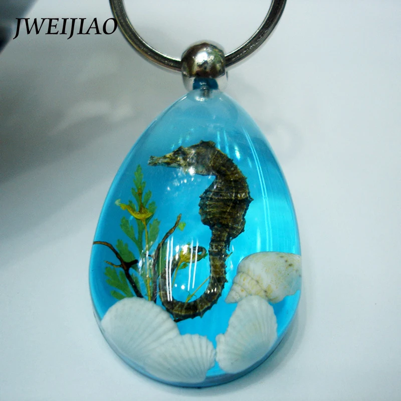 

JWEIJIAO Water Drop Type Resin Stone Crystal Natural Shell Sea Horse Pendant Small Ornament Keychains N0016