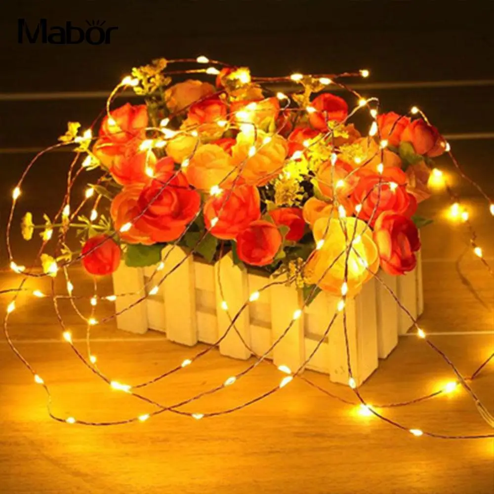 Creative Romantic Fairy Lights Light String 100cm Manual Switch Copper Wire Christmas Decoration