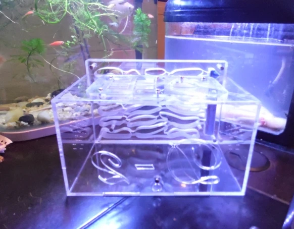 1 шт. акрил Ant Nest D2(многослойная версия