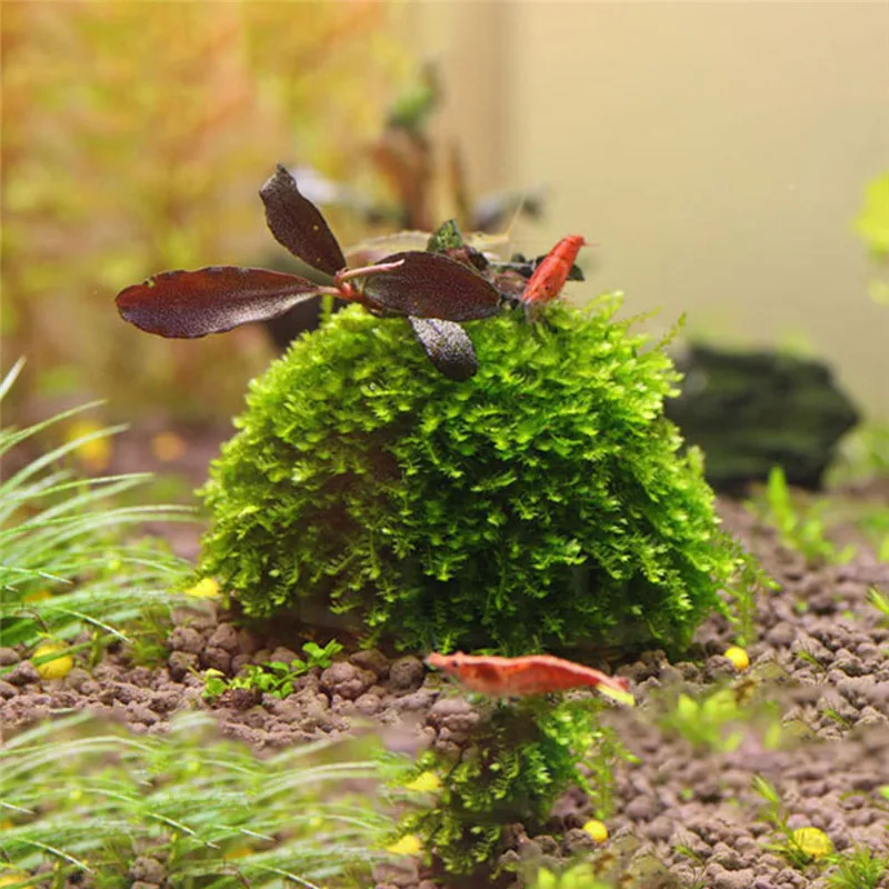 Пластиковый аквариум медиа мох шар фильтр ландшафтное Украшение Аквариум водные растения минеральные шары украшения