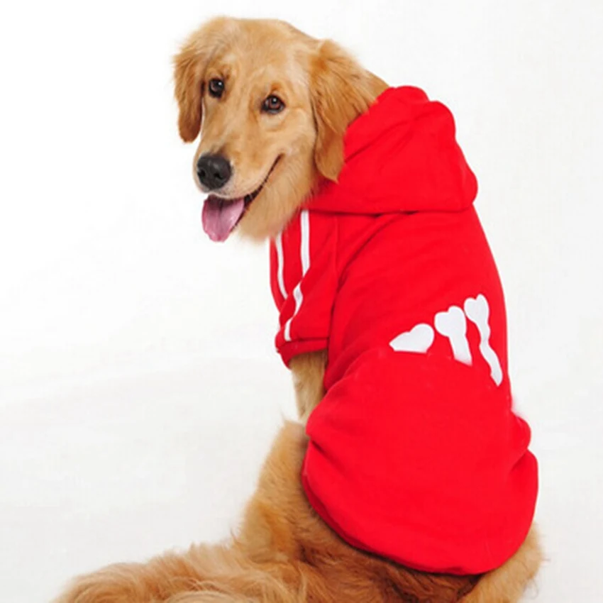 golden retriever size big clothes for ᐊ golden golden retriever dogs large ᗜ Lj size size golden retriever size big clothes for ᐊ golden golden retriever dogs large ᗜ Lj size size