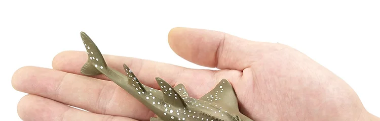 -4---DW-M-LP490-607-608-828_01