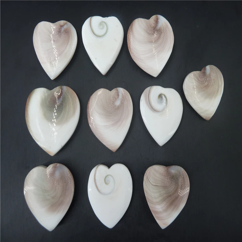 

10pcs natural shell fossil crystal sculpture heart Aquarium decoration T1028