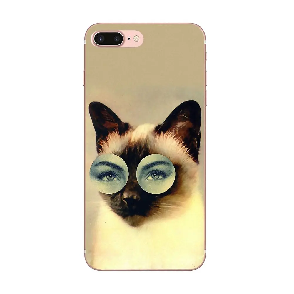 550 Koleksi Gambar Kolase Hewan Kucing Terbaik