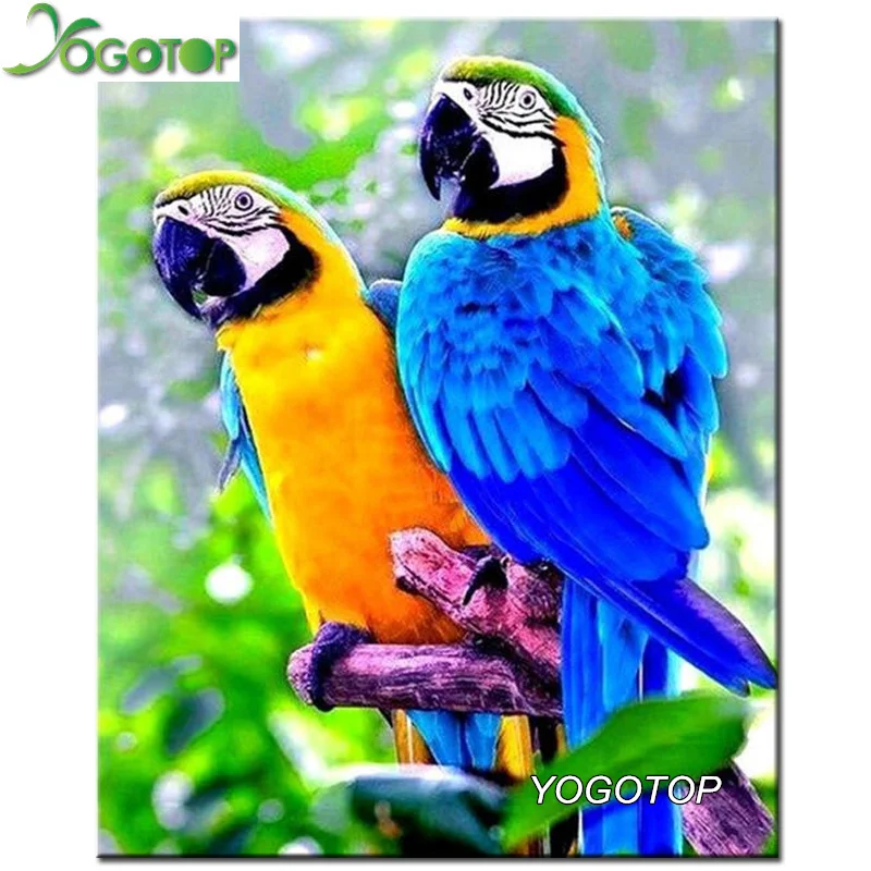 

YOGOTOP Diy 5D Diamond Embroidery Two parrots Diamond Mosaic Picture Square Diamond Painting Cross Stitch Kit Needlework ZB068