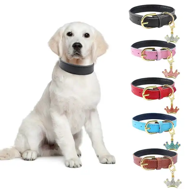 272 Collier De Chien En Cuir Pour Petits Chiens Moyens Chiot Chat Collier Doux Rembourré Colliers Pour Animaux De Compagnie Chihuahua Yorkshire