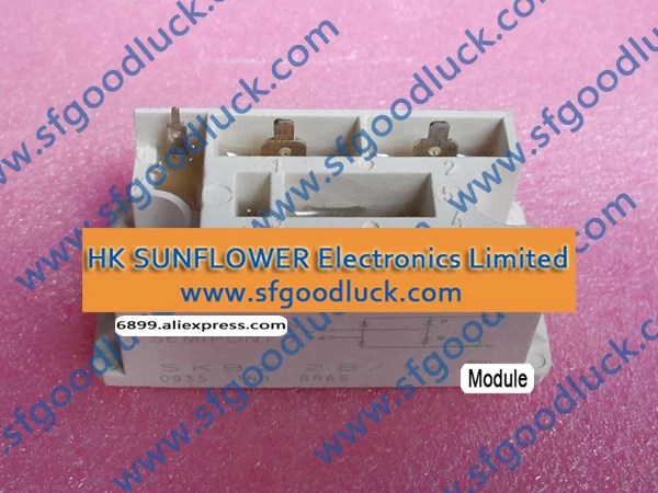 SKBZ28/14 Controllable Bridge Rectifier 1400V 28A Case G24 mass:66g