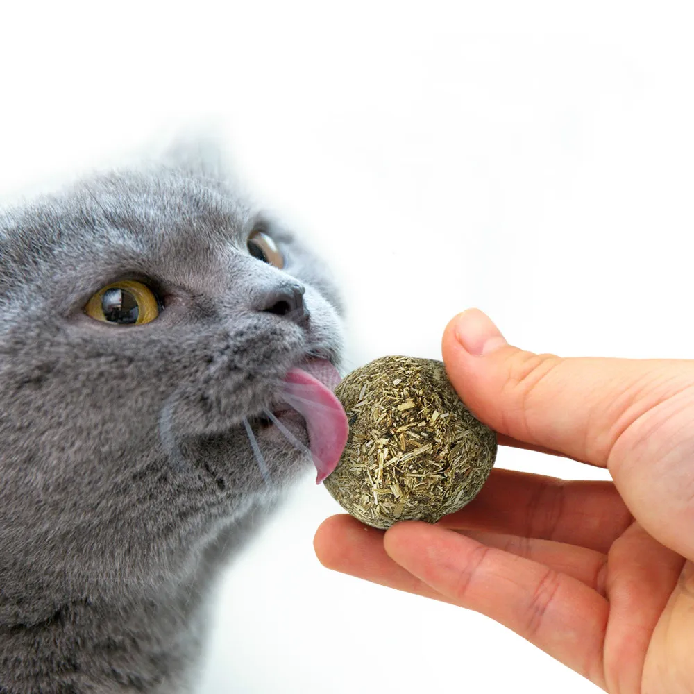 

Natural Catnip Toys For Cats Crazy Healthy Cat Toys For Kitten Edible Treating Cleaning Teeth Cat Supplies Pet Toy Pet Products