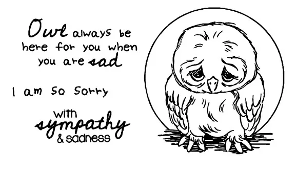 

Owl Transparent Clear Stamps for DIY Scrapbooking/Card Making/Kids Christmas Fun Decoration Supplies