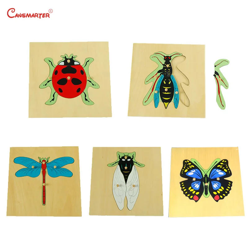 Рисунок 5 - Деревянные Обучающие игрушки набор