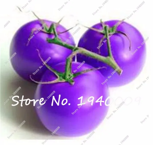 tomato1