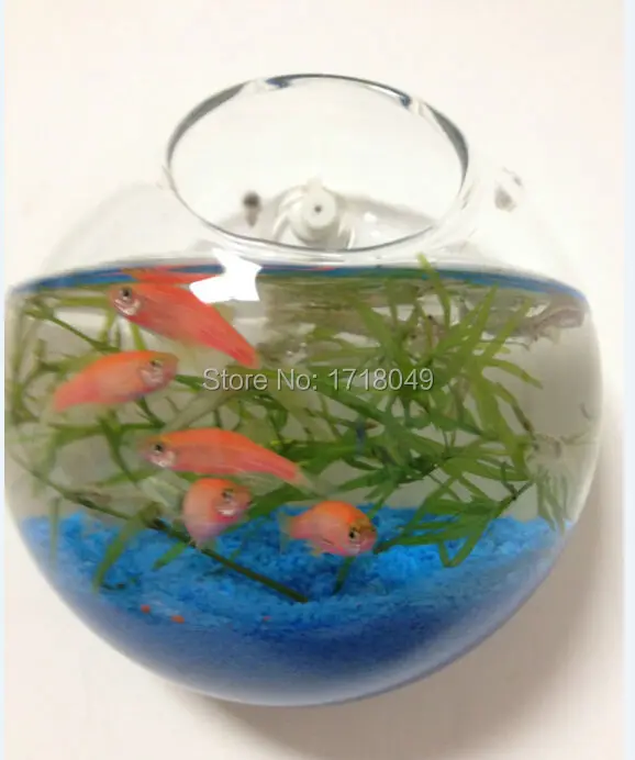 Aliexpress.com : Buy Hanging Wall glass planter vase,glass