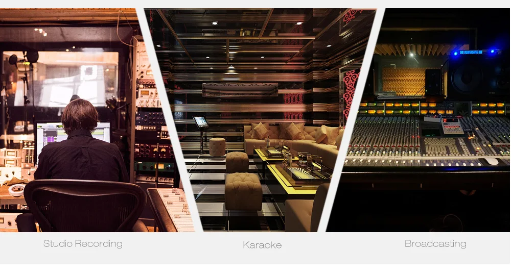 LEIHAO BM - 700 Professional Condenser Microphone Studio Broadcasting Recording