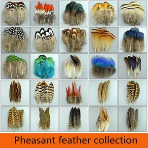 Image for New 20pcs High Quality Beautiful Natural Feather P 