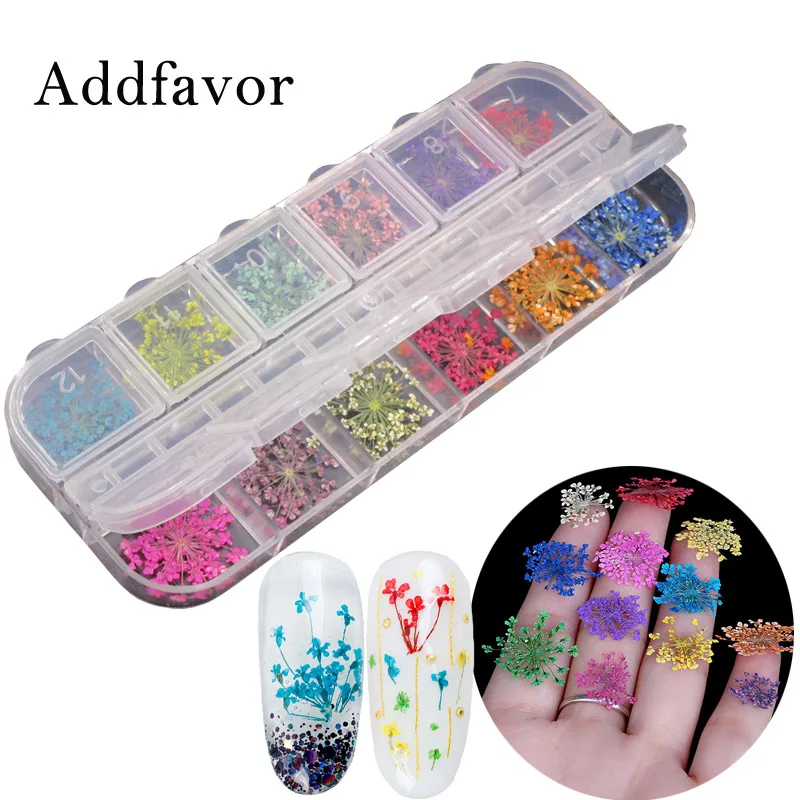 Addfavor сухие цветы для украшения ногтей 3D для дизайна ногтей Цветочные наклейки babysbreak DIY Советы маникюрные инструменты 12 цветов/коробка