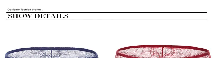 Women's Sexy Lace Panties Seamless Cotton Breathable Panty Transparent Briefs Plus Size Girl Low Rise Underwear (13)