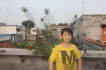 

hight quality fashion peacock feather angel wings wedding stage performance props Fashion classic catwalk shows lingerie shows