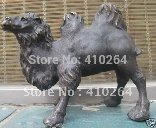 

Two-humped camels in Western Regions Bronze Statue