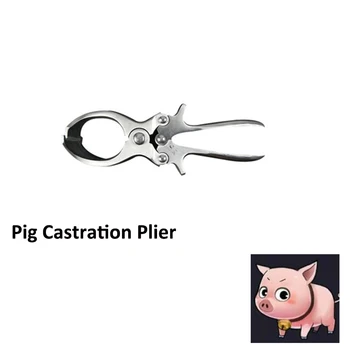 

castration pig forcep bloodless burdizzo blamps castrator plier piglet veterinary equipment castrating device farming tools