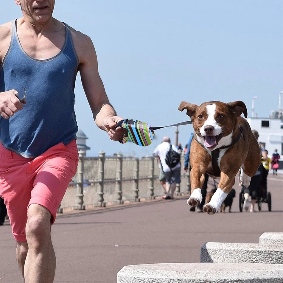 dog leash automatic