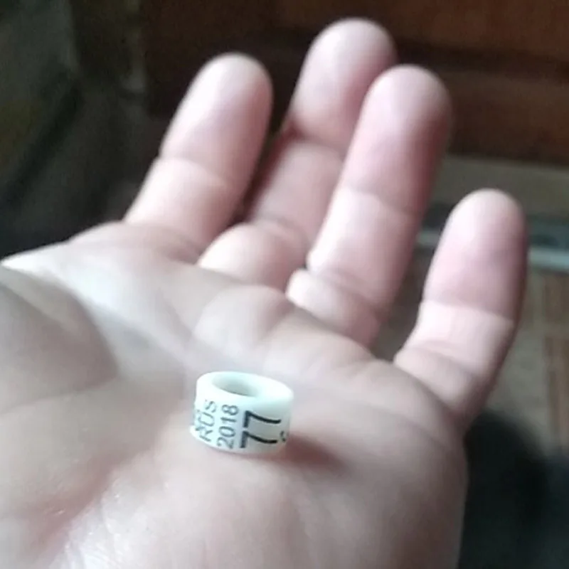

2019 RUS customized band of pigeon pet pigeon rings bird rings pigeon bands Custom Name, Telephone Number