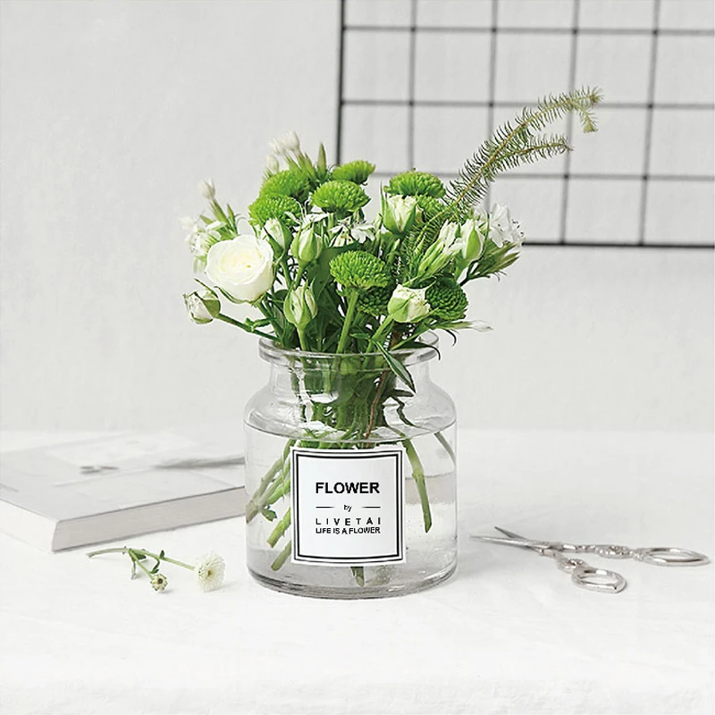 Прозрачная стеклянная ваза с широким горлышком в скандинавском стиле, гидропонная ваза, ретро цветочное украшение для дома