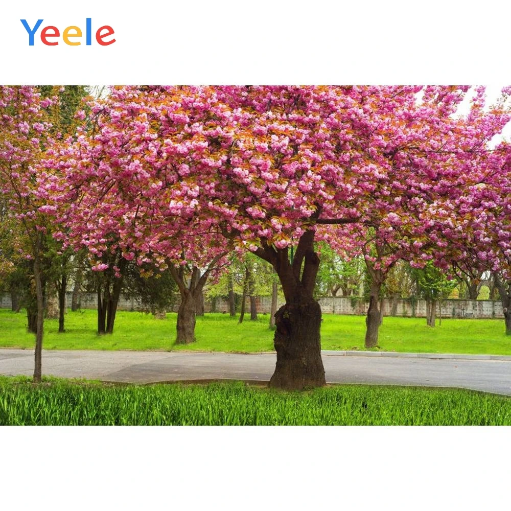 

Yeele Vinyl Tree Flowers Children Princess Birthday Party Photography Background Wedding Love Photographic Backdrop Photo Studio