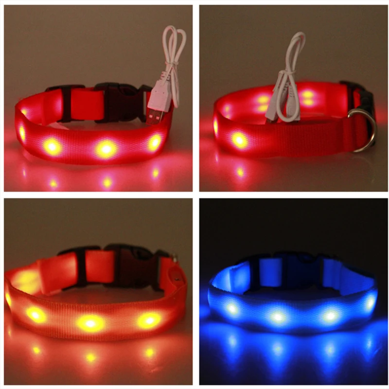 LED pet collar collar L USB charging light flashing lights at night