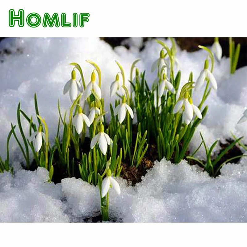 HOMLIF Новинка 5D алмазная живопись рукоделие квадратная вышивка полная Алмазная