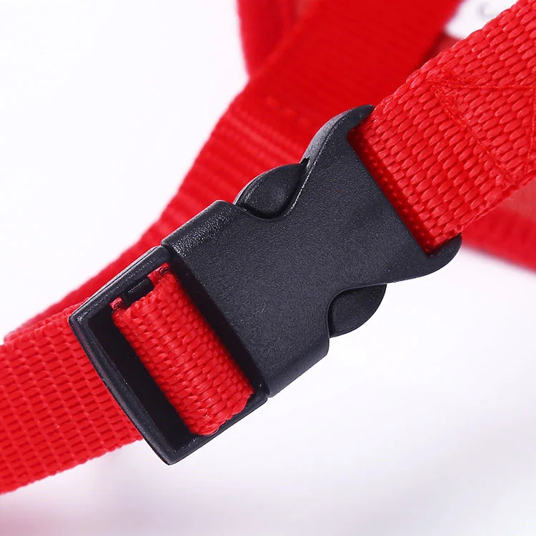 dog muzzle (5)